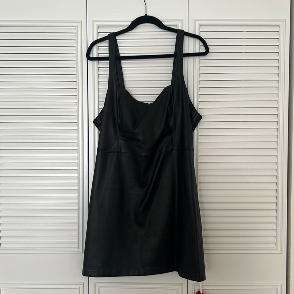 Abercrombie Leather Dress